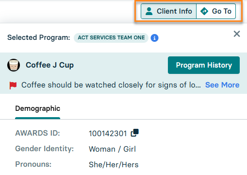 Client Info and Go To buttons.png