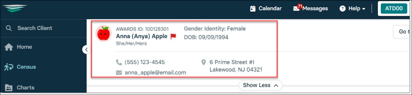 client details header.jpg